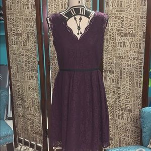 LOFT Beautiful Wine Color Lace Fit and Flare Dress